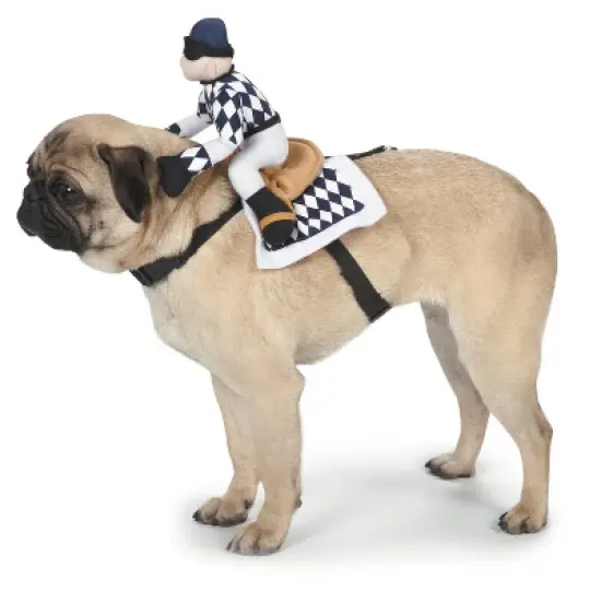 Zack & Zoey Show Jockey Saddle Dog Costume image {3}