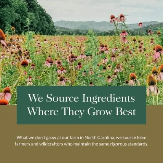 Gaia Herbs St. John's Wort - Natural Stress Support Supplement to Help Maintain Emotional Health - 60 Vegan Liquid Phyto-Capsules image {8}