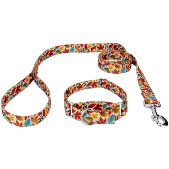 Country Brook Petz Brisk Autumn Martingale Dog Collar and Leash image {5}