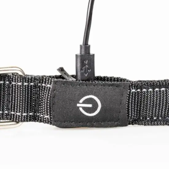 Life+Gear Rechargeable Glow Dog Collar - S image {4}