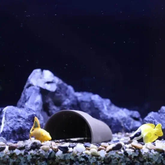 Unique Bargains Hiding Rock Small Fish Aquarium Decorations Ceramic Cave Brown 3.54"x3.43"x1.97" 1 Pc image {5}