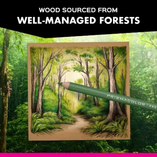 Prismacolor 72ct Premier Pencils: Multicolored Art Supplies, 0.07mm Point, Wood Material, Ages 6+ image {7}