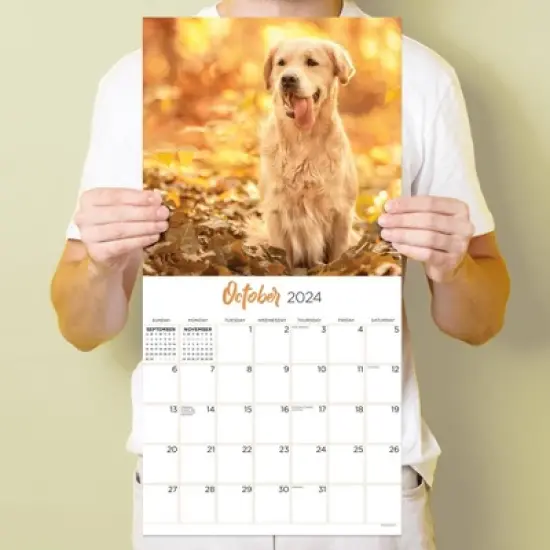 TF Publishing 2024 Wall Calendar 12"x12" Golden Retrievers image {3}