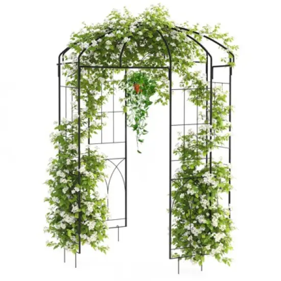 GustoWave French Style Birdcage Shape Heavy Duty Gazebo, Pergola Pavilion Arch Arbor Plants Stand Rack for Wedding, Climbing Vines, Black image {7}
