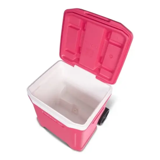 Igloo Latitude 60qt Roller Cooler image {14}