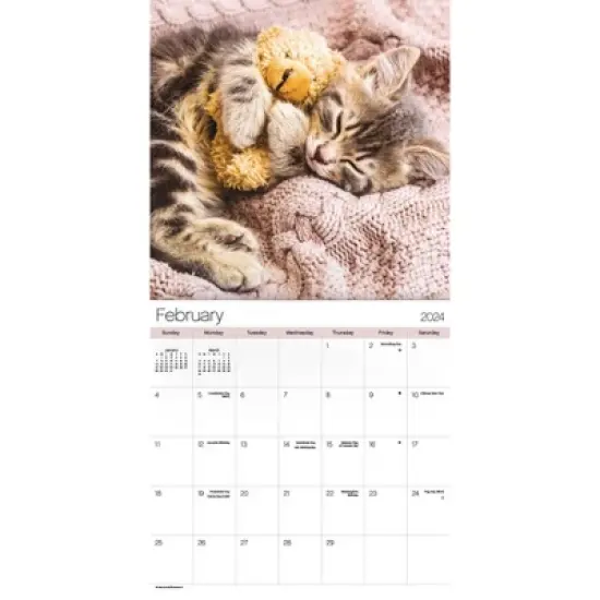 Trends International Inc. 2023-24 Wall Calendar 12"x12" Cuddly Kittens image {2}