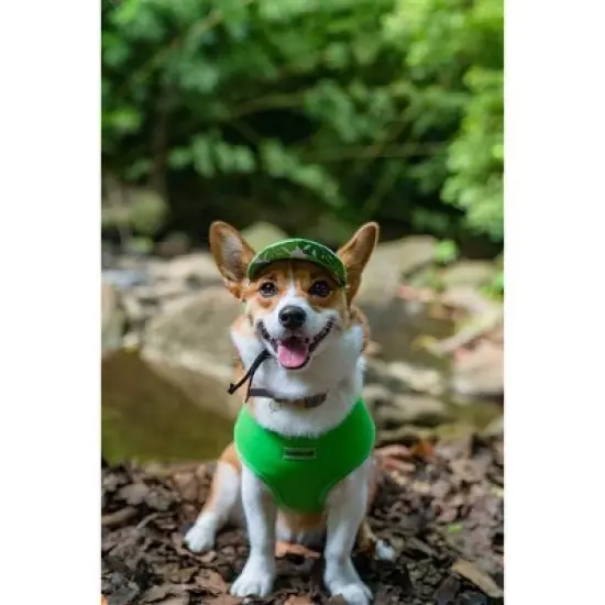 Parisian Pet 'Freedom Harness' for Dogs & Cats &ndash; Comfortable and Durable Neon Green Pet Harness-Saint Patrick's Day image {1}