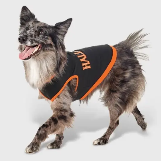 Halloween Dog and Cat Sweatshirt - Hyde and EEK! Boutique&trade; image {5}