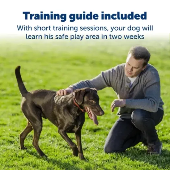 PetSafe Stubborn Dog Stay and Play Adjustable Wireless Fence Receiver Collar - Black image {3}