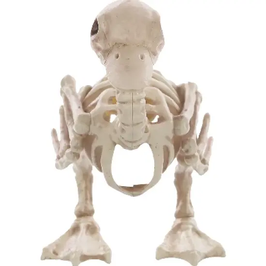 Seasons USA Duck Skeleton Prop Halloween Decoration -  - Off-White image {3}