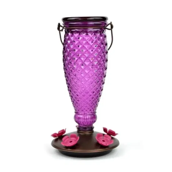 Perky-Pet Hummingbird 24 oz Glass/Plastic Diamond Wine Nectar Feeder 5 ports (Case of 2) image {1}