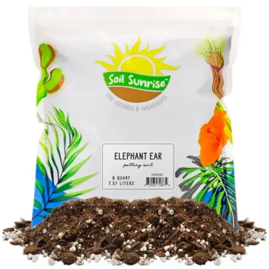 Soil Sunrise Elephant Ear Potting Soil Mix, Colocasia Esculenta Potted Plant Blend image {8}