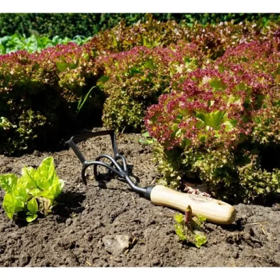 DeWit Cultivator Stirrup Hoe &ndash; 2-in-1 Tool for Weeding & Soil Cultivation image {3}