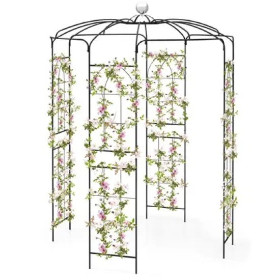 Tangkula Birdcage Shape Garden Arch 9.4 x 6.8FT Heavy Duty Arch Trellis with Hanging Hook for Climbing Plants image {9}