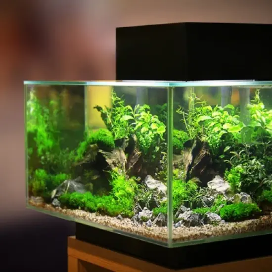 Unique Bargains Fish Tank Filter Media Aquarium Filter Balls Ceramic Rings Set 1 Pcak image {5}