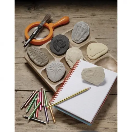 Yellow Door Play and Explore Fossils  - Set of 8 image {3}