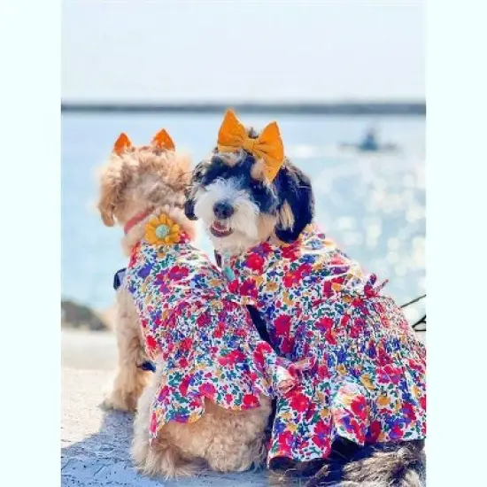 Parisian Pet 'Floral Artsy Dress' Dog & Cat Shirt &ndash; Stylish and Comfortable Designer Dog Clothing - Red, Yellow, Blue, White-Valentine's Day image {2}