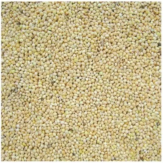 Cole's White Millet Wild Bird Seed image {1}