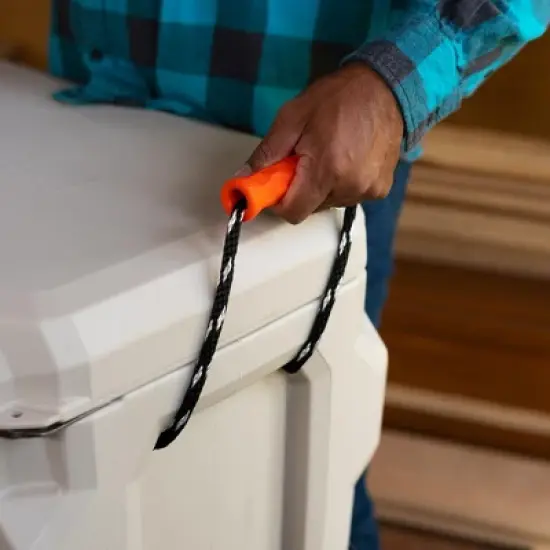 Lifetime 48 Quart Cooler image {7}