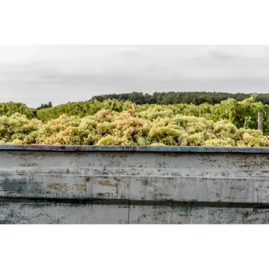 Remy Martin V.S.O.P Cognac - 750ml Bottle image {12}