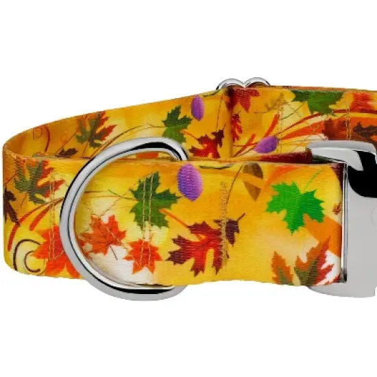 Country Brook Petz HossFit Jr Wide Premium Dog Collar - Awesome Autumn Collection image {3}