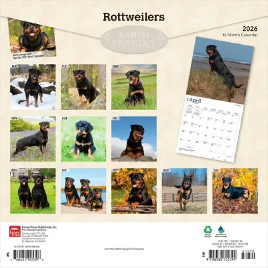 BrownTrout Rottweilers 2026 12"x24" Hanging Square Wall Calendar Plastic-Free image {1}