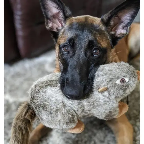 Fluff and Tuff Nuts the Squirrel Dog Toy image {2}