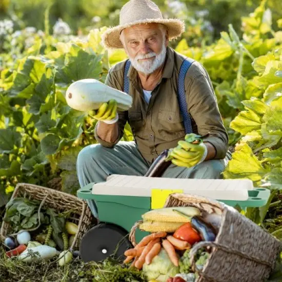 Nature Spring Garden Storage Wagon Cart with Seat and Removable Tool Tray - Green, Black, Gray image {2}