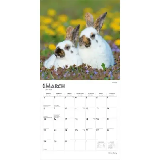 BrownTrout Honey Bunny 2026 12"x24" Hanging Square Wall Calendar Plastic-Free image {2}