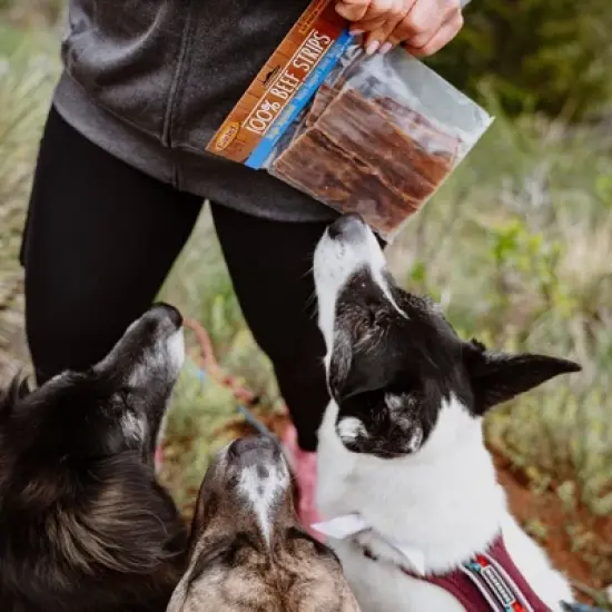 Cadet 100% Beef Strips Dog Treats - 8oz image {5}