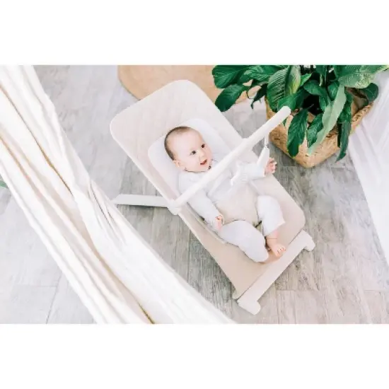 Baby Delight Alpine Deluxe Portable Bouncer image {5}