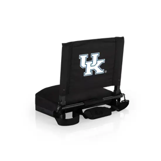 NCAA Kentucky Wildcats Stadium Seat Cushion with Back Support image {4}