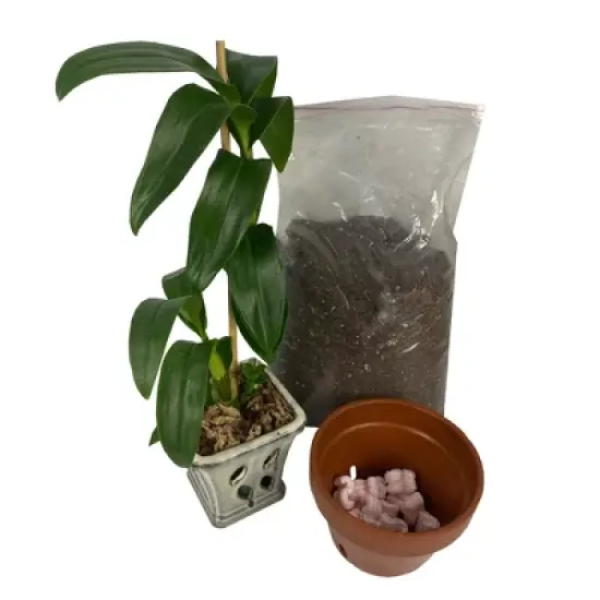 UOFFICE Anti-Static Packing Peanuts 14 Cu. Ft. Industrial Shipping Void Fill image {8}