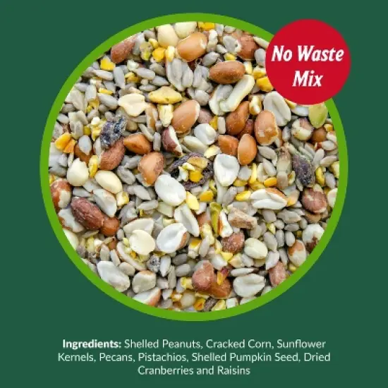 Lyric Woodpecker Wild Bird Seed for Outside Feeders, Shelled, No Waste Bird Seed with Nuts & Dried Fruit, 5 lb Bag image {3}
