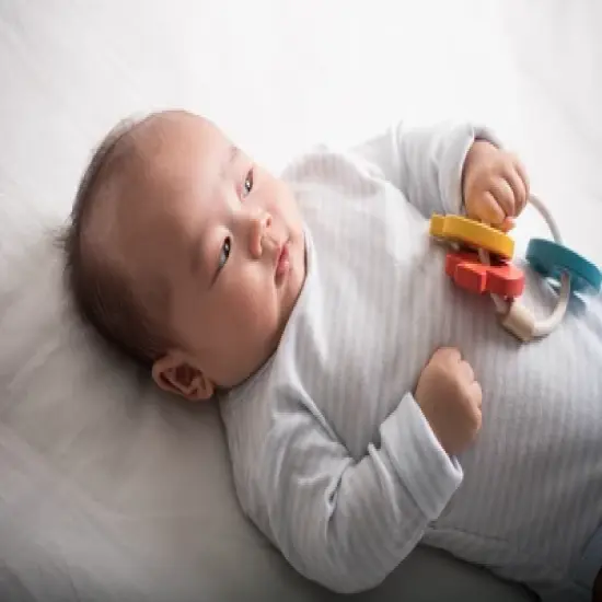 Plantoys| Baby Key Rattle image {8}