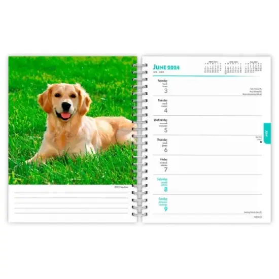 Browntrout 23-2024 Weekly/Monthly Planner 7.5"x7.125" Golden Retrievers image {2}