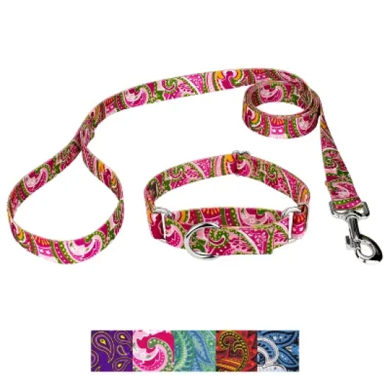 Country Brook Petz Martingale Collar and Leash - Paisley Collection image {14}