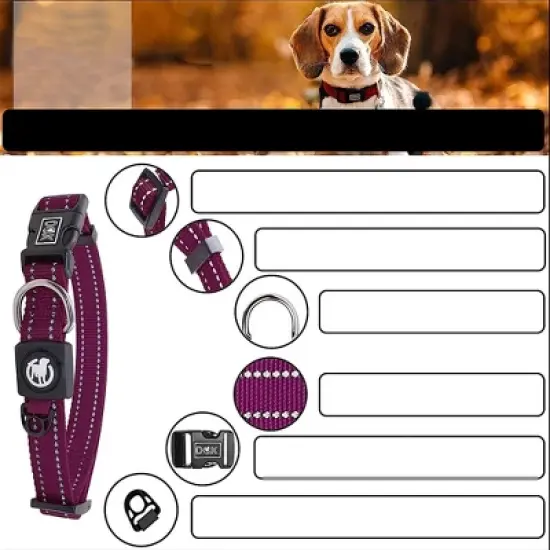 DDOXX Reflective Nylon Dog Collar - Small - Purple image {2}