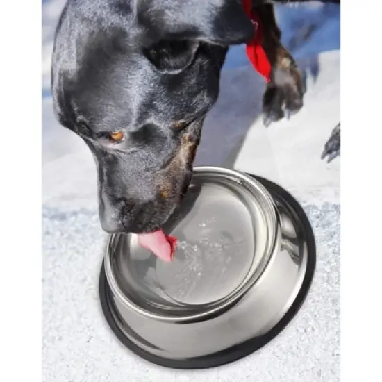 Juvale Stainless Steel Dog Bowls - Set of 2 Large Pet Food and Water Dish Bowls, Ideal for Large Dogs - Silver, 10 In Diameter image {1}