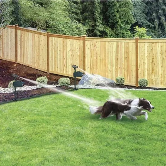 Solar Powered Motion Activated Hydro Animal Sprinkler Repeller - Bird-X image {1}