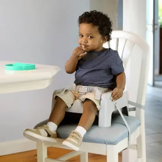 Summer Deluxe Learn-to-Dine Feeding Seat image {7}