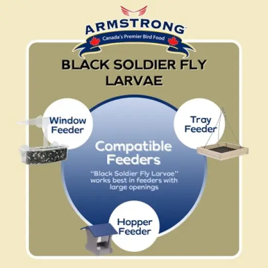 Armstrong Wild Bird Food Black Soldier Fly Larvae, 4lbs image {3}