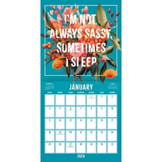 Trends International 2026 Everyday Sass 12"x12" Wall Calendar image {1}