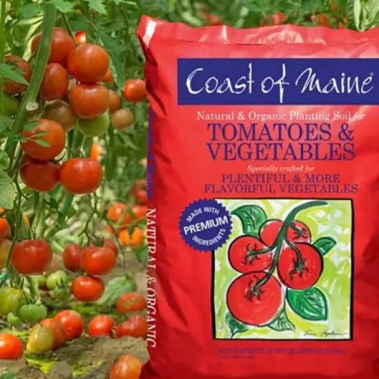 Coast of Maine OMRI Listed Tomato and Vegetable Plant Potting Soil Compost Blend for Container Gardens and Flower Pots, 20 Quart Bag (2 Pack) image {3}