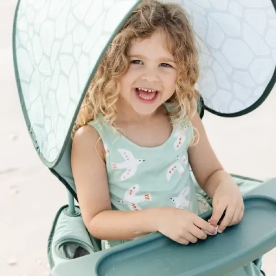 Baby Delight Go With Me Venture Deluxe Portable Chair image {8}