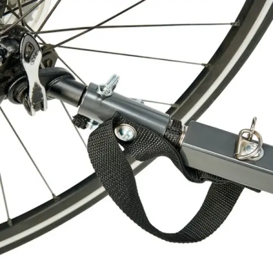 ALLEN Deluxe Child Bike Trailer & Stroller image {13}