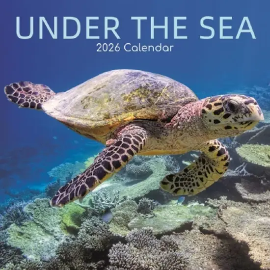 2026 Square Wall Calendar, Under the Sea, 16-Month Natural World Theme with 180 Reminder Stickers (12x12 In) image {4}