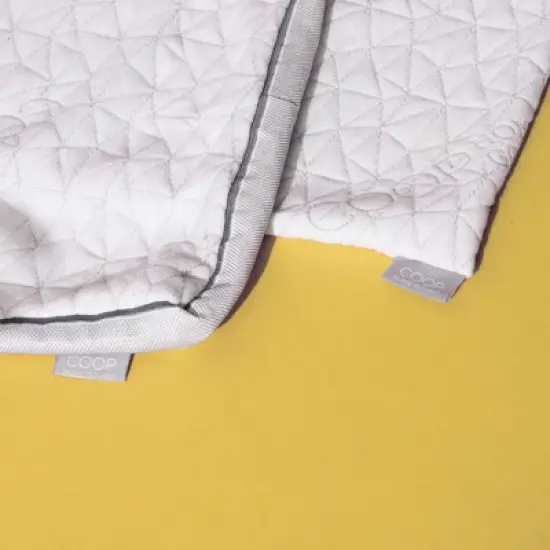 Coop Home Goods The Pillowcase image {3}