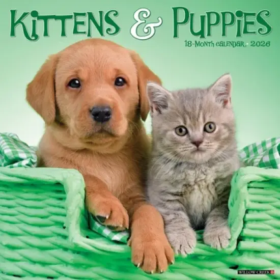 Willow Creek Press 2026 Kittens and Puppies Wall Calendar image {5}