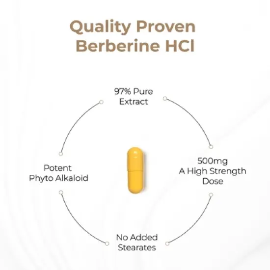 Sandhu's Berberine HCL Supplement 500mg per capsule with 97% Pure Berberis Aristata Extract, 60 capsules, Vegetarian, Non-GMO, Gluten Free image {6}
